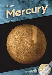 Capa do artigo Mercury