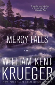 Capa do artigo Mercy Falls