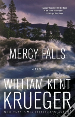Capa do artigo Mercy Falls