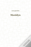 Merddyn