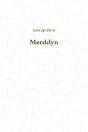 Merddyn - Preview
