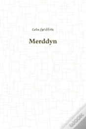 Capa do artigo Merddyn