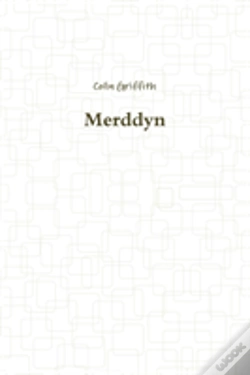 Capa do artigo Merddyn