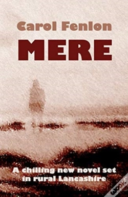 Capa do artigo Mere