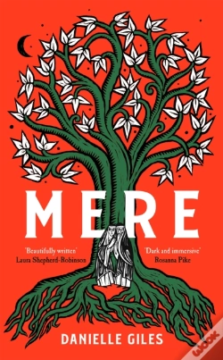 Capa do artigo Mere