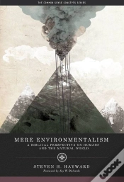 Capa do artigo Mere Environmentalism