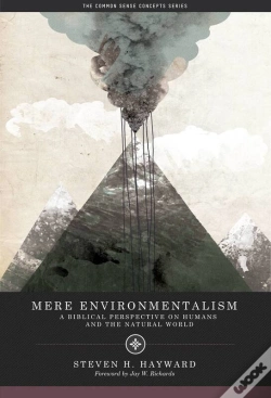 Capa do artigo Mere Environmentalism