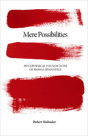 Mere Possibilities - Preview