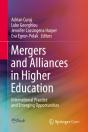 Mergers And Alliances In Higher Education - Preview