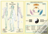 Meridians
