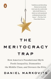 Capa do artigo Meritocracy Trap