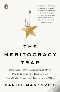 Capa do artigo Meritocracy Trap