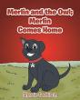 Merlin And The Owl - Preview