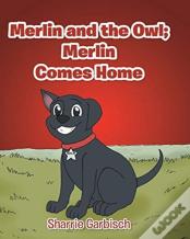 Merlin And The Owl