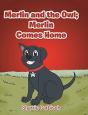 Merlin And The Owl - Preview
