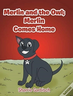 Capa do artigo Merlin And The Owl