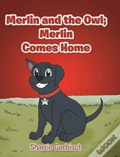 Capa do artigo Merlin And The Owl