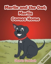 Capa do artigo Merlin And The Owl: Merlin Comes Home