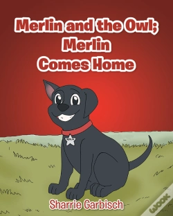 Capa do artigo Merlin And The Owl: Merlin Comes Home