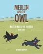Merlin And The Owl - Preview