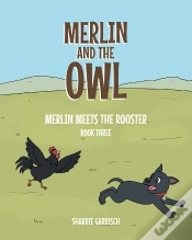 Capa do artigo Merlin And The Owl