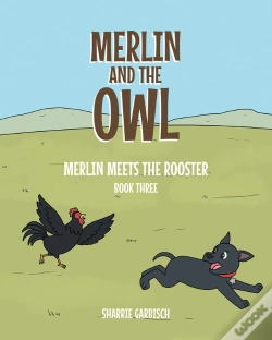 Capa do artigo Merlin And The Owl