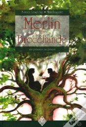 Capa do artigo Merlin En Broceliande Livre + Cd