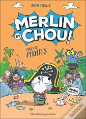 Capa do artigo Merlin Et Chou : Chez Les Pirates