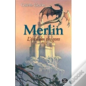 Capa do artigo Merlin L