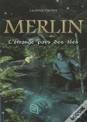 Merlin T.5 ; L'Étrange Pays Des Fées