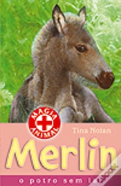 Capa do artigo Merlin