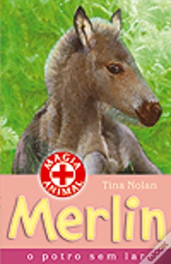 Capa do artigo Merlin