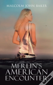 Capa do artigo Merlin