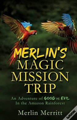Capa do artigo Merlin'S Magic Mission Trip