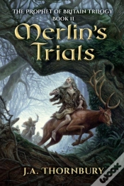 Capa do artigo Merlin