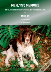 Capa do artigo Merlyn