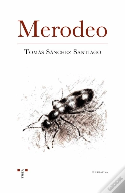 Capa do artigo Merodeo