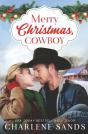 Merry Christmas, Cowboy - Preview