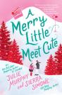 Merry Little Meet Cute - Preview
