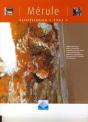Mérule ; Certification «1532» - Preview