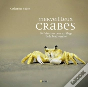Capa do artigo Merveilleux Crabes ; Un Éloge De La Biodiversité
