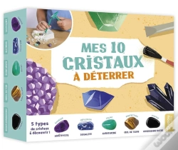 Capa do artigo Mes 10 Cristaux A Deterrer