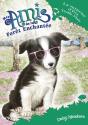 Mes Amis De La Foret Enchantee - Tome 10 La Surprise D'Eva Truffe-Flair - Preview