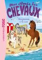 Mes Amis Les Chevaux Tome 14 : Une Journée À La Mer - Preview