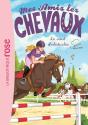 Mes Amis Les Chevaux Tome 17 : Le Saut D'Obstacles - Preview