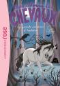 Mes Amis Les Chevaux Tome 21 : La Grande Aventure D'Andalou - Preview