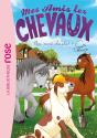 Mes Amis Les Chevaux Tome 31 : Un Sacré Chantier ! - Preview