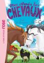 Mes Amis Les Chevaux Tome 32 : Duel De Champions - Preview