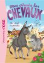 Mes Amis Les Chevaux Tome 4 : Un Rival Inattendu - Preview