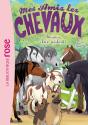 Mes Amis Les Chevaux Tome 51 : Attention, Chien Méchant ! - Preview